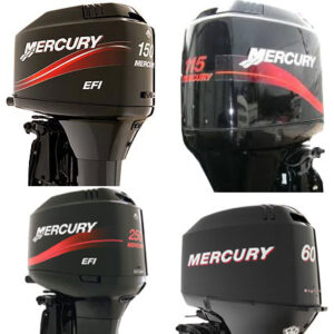 MERCURY EFI